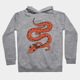 Dragon's Drool Hoodie